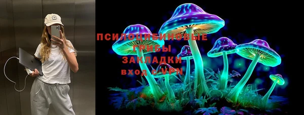 тгк Аркадак
