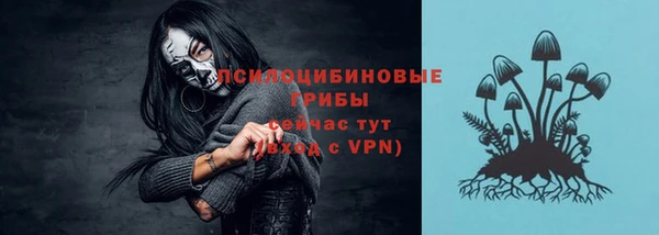 тгк Аркадак